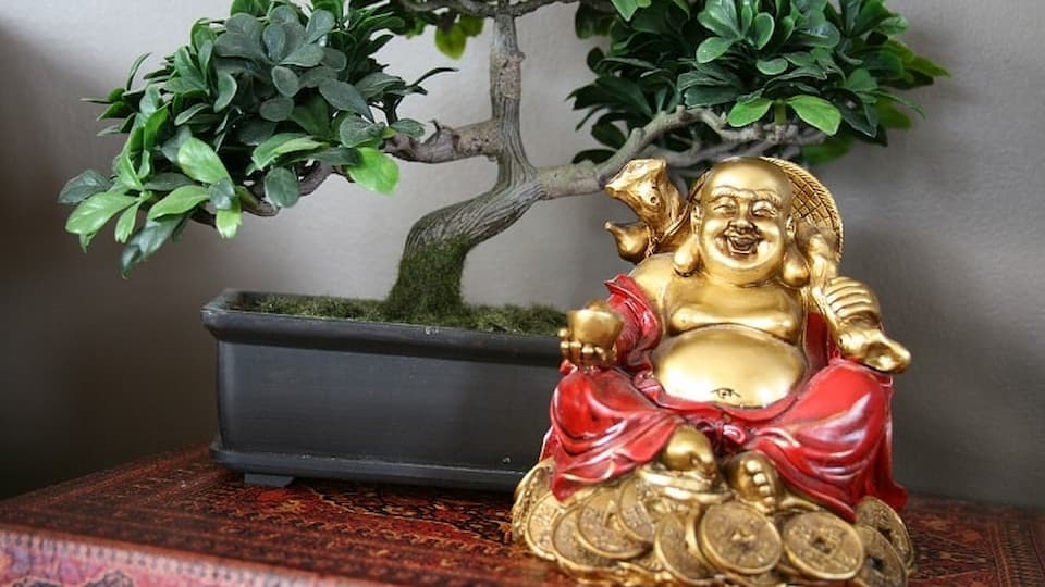  Panduan Feng Shui  Rumah Terbaru Datangkan Hoki ke Hunian 