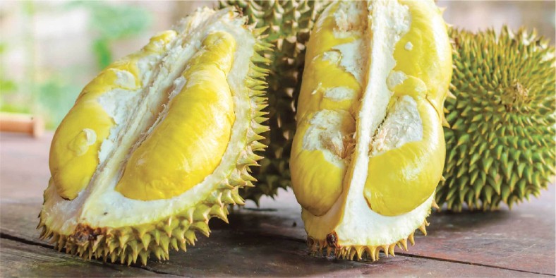 Manfaat Buah Durian Untuk Program Hamil Mitos Atau Fakta