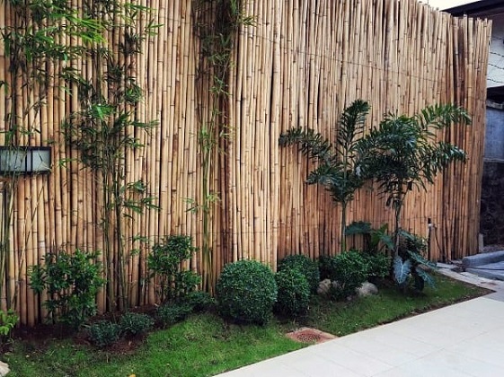 Pagar bambu hijau
